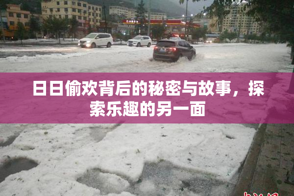 日日偷欢背后的秘密与故事，探索乐趣的另一面