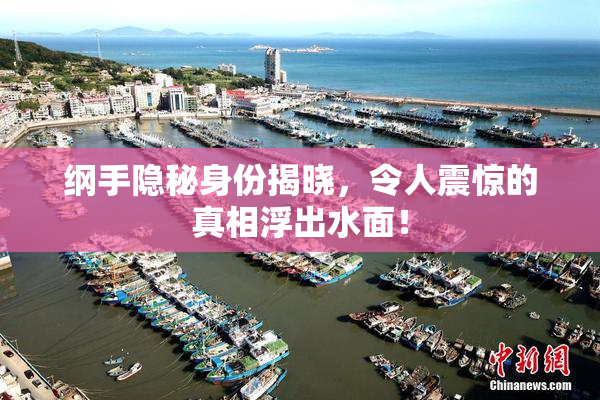 纲手隐秘身份揭晓，令人震惊的真相浮出水面！