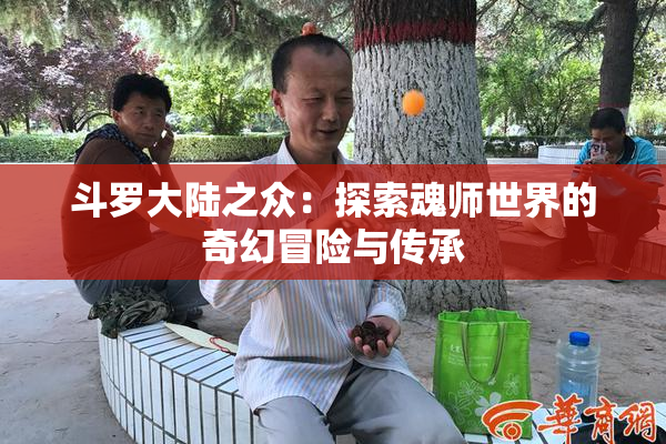 斗罗大陆之众：探索魂师世界的奇幻冒险与传承