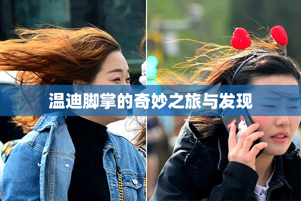 温迪脚掌的奇妙之旅与发现
