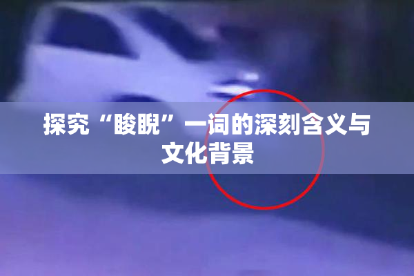 探究“睃睨”一词的深刻含义与文化背景