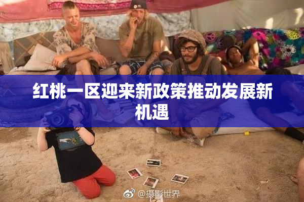 红桃一区迎来新政策推动发展新机遇