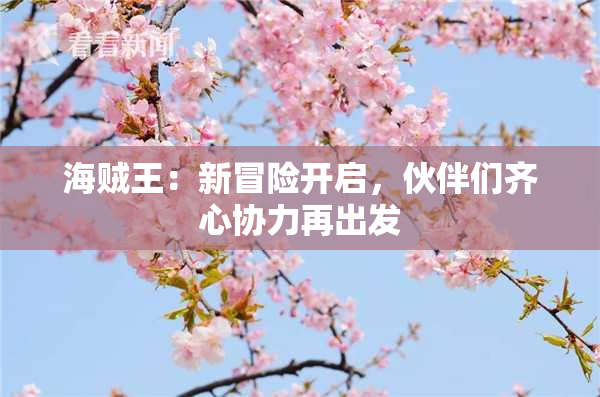 海贼王：新冒险开启，伙伴们齐心协力再出发