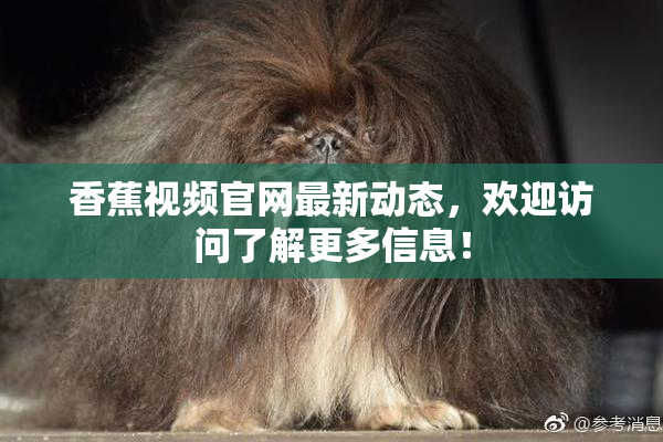 香蕉视频官网最新动态，欢迎访问了解更多信息！