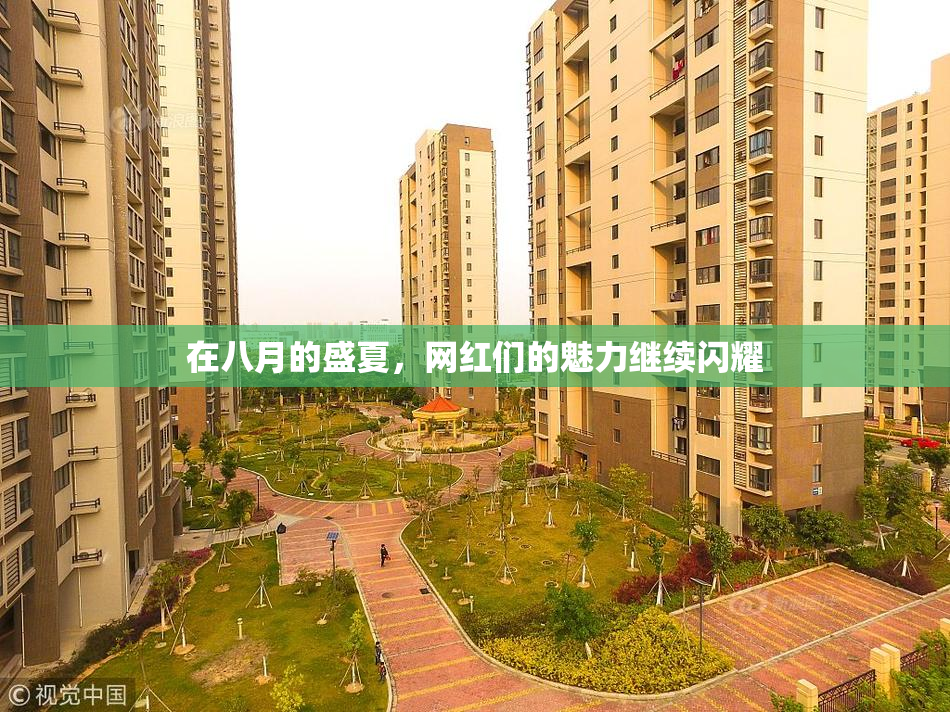 在八月的盛夏，网红们的魅力继续闪耀