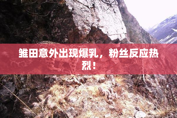 雏田意外出现爆乳，粉丝反应热烈！