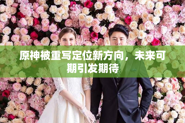 原神被重写定位新方向，未来可期引发期待