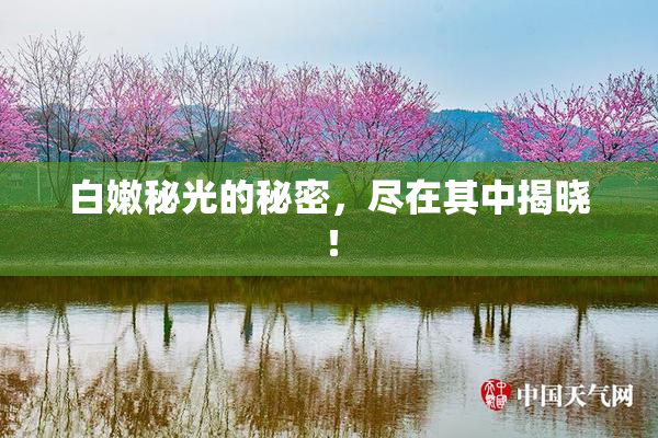白嫩秘光的秘密，尽在其中揭晓！
