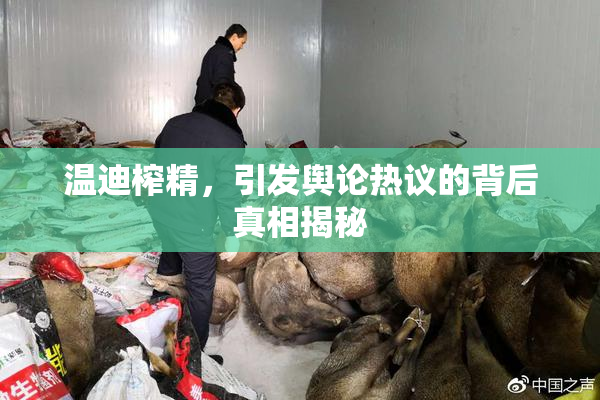 温迪榨精，引发舆论热议的背后真相揭秘