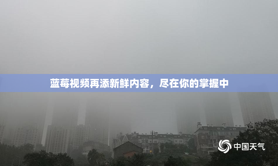 蓝莓视频再添新鲜内容，尽在你的掌握中