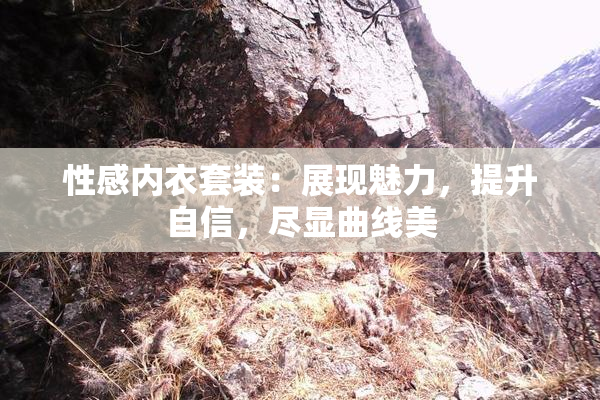 性感内衣套装：展现魅力，提升自信，尽显曲线美