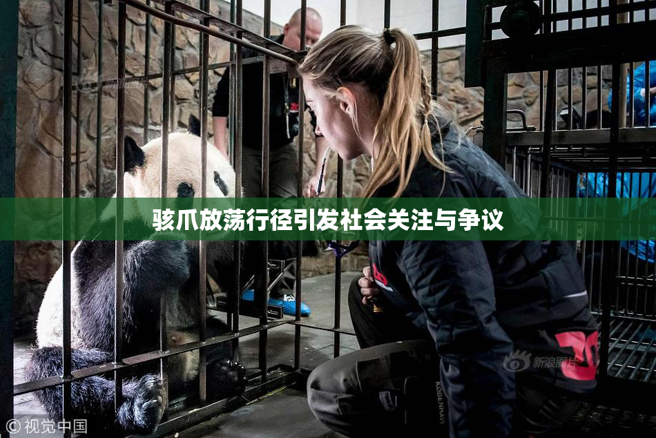 骇爪放荡行径引发社会关注与争议
