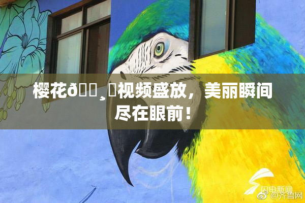 樱花🌸‌视频盛放，美丽瞬间尽在眼前！