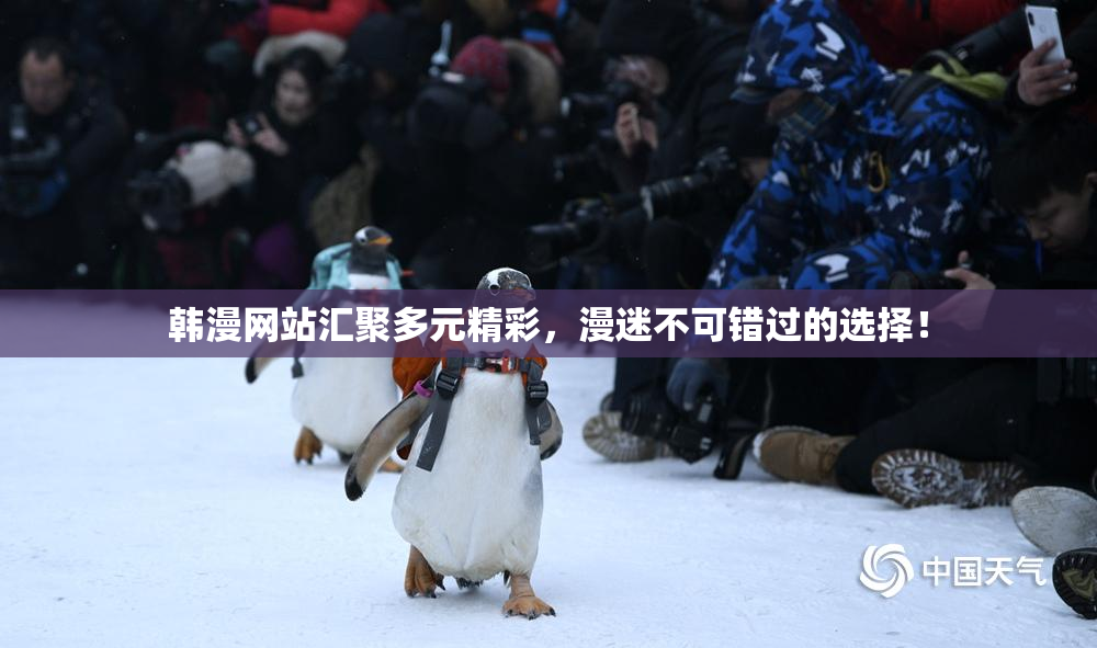韩漫网站汇聚多元精彩，漫迷不可错过的选择！