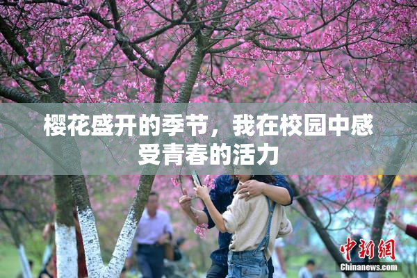 樱花盛开的季节，我在校园中感受青春的活力