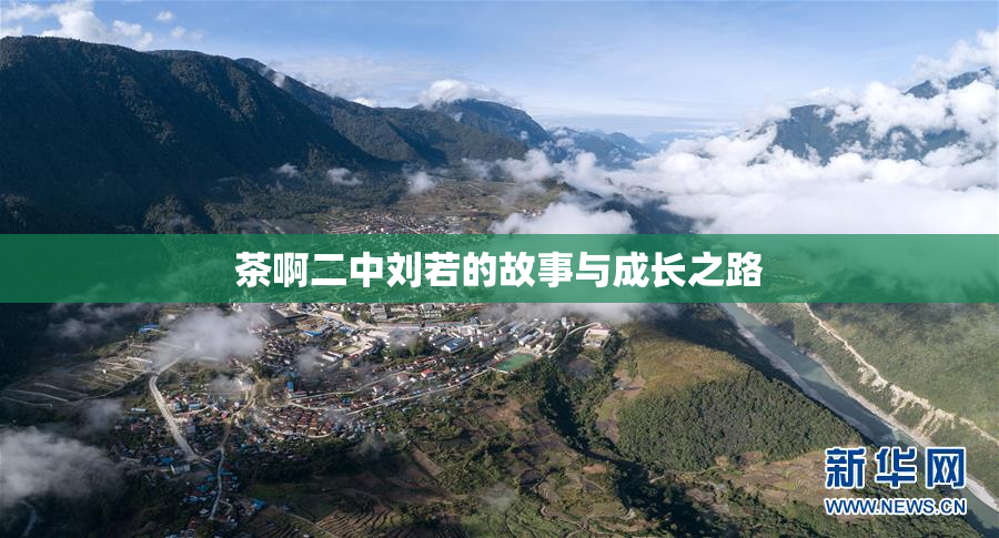 茶啊二中刘若的故事与成长之路