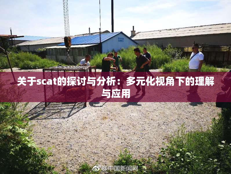 关于scat的探讨与分析：多元化视角下的理解与应用