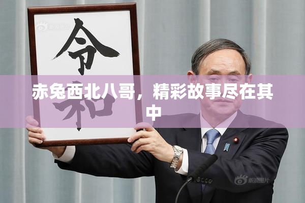 赤兔西北八哥，精彩故事尽在其中