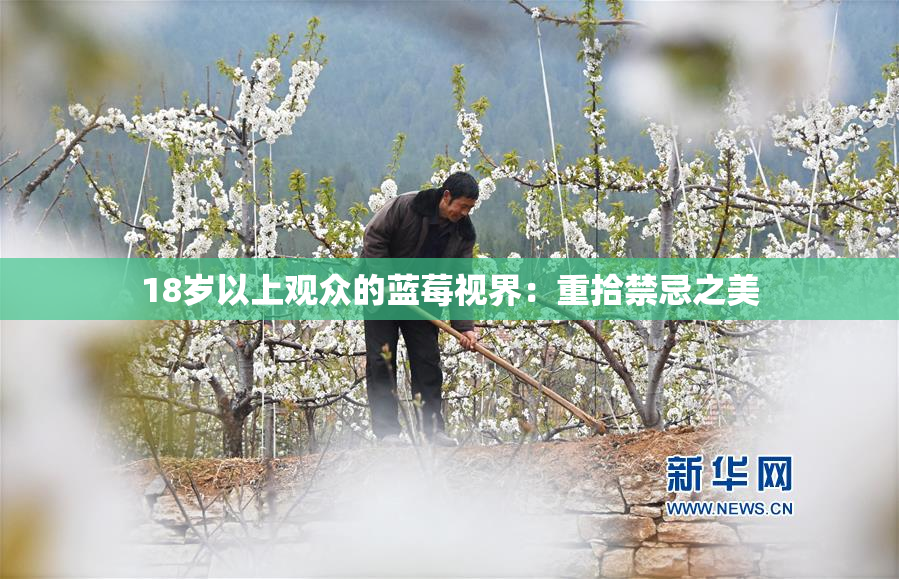 18岁以上观众的蓝莓视界：重拾禁忌之美