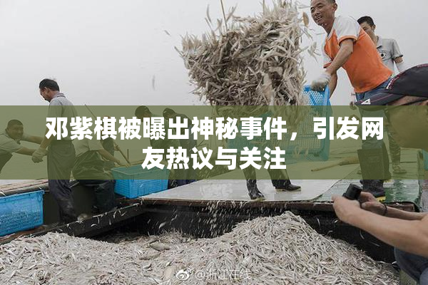 邓紫棋被曝出神秘事件，引发网友热议与关注