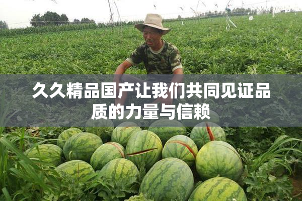 久久精品国产让我们共同见证品质的力量与信赖