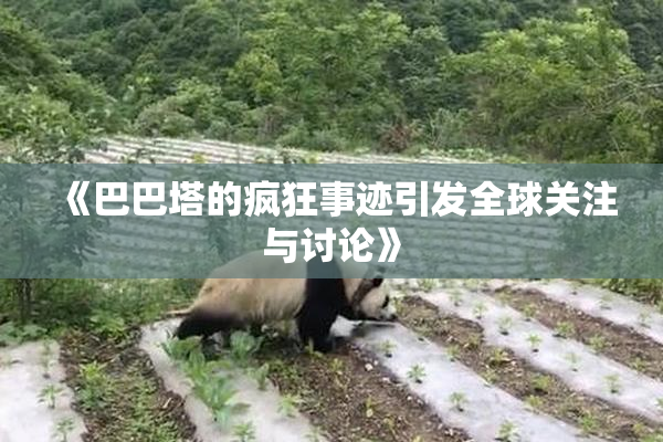 《巴巴塔的疯狂事迹引发全球关注与讨论》