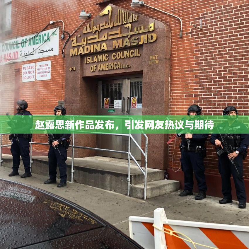 赵露思新作品发布，引发网友热议与期待