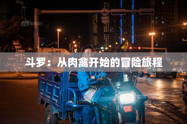 斗罗：从肉禽开始的冒险旅程