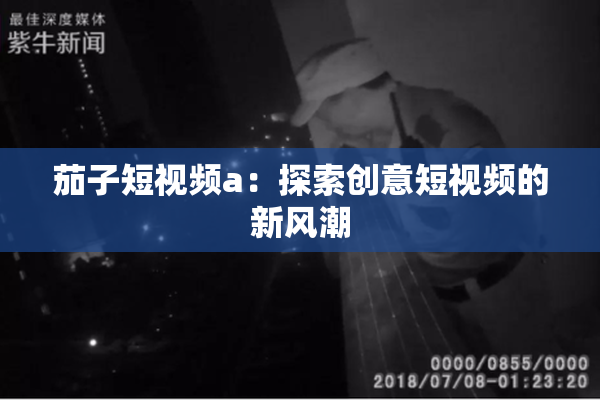 茄子短视频a：探索创意短视频的新风潮