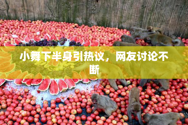 小舞下半身引热议，网友讨论不断