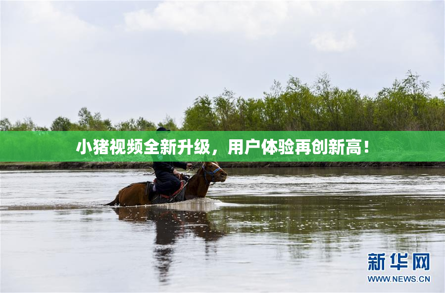 小猪视频全新升级，用户体验再创新高！