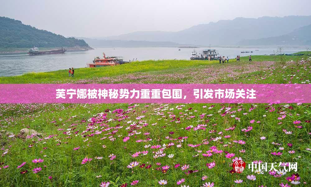 芙宁娜被神秘势力重重包围，引发市场关注
