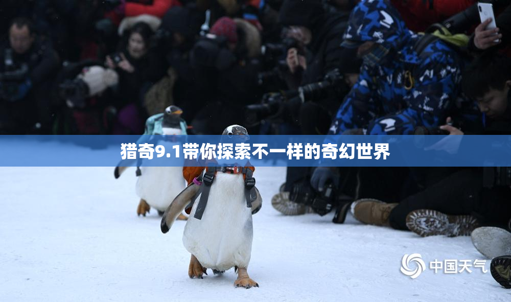 猎奇9.1带你探索不一样的奇幻世界