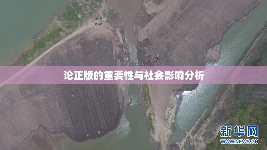 论正版的重要性与社会影响分析