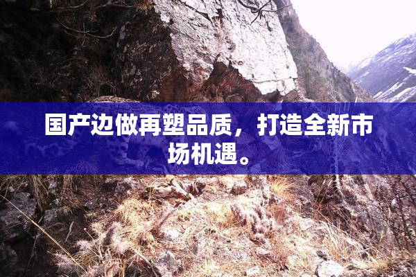 国产边做再塑品质，打造全新市场机遇。
