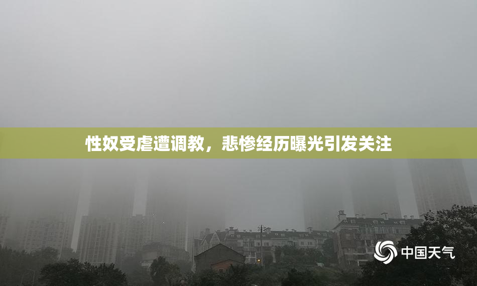 性奴受虐遭调教，悲惨经历曝光引发关注