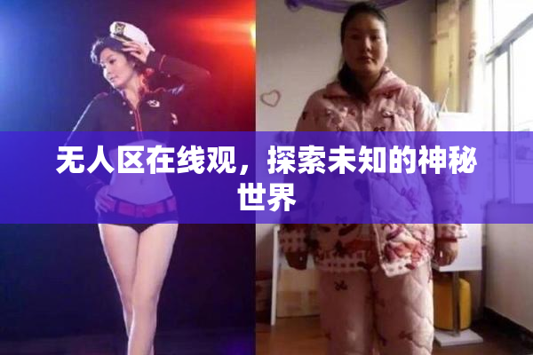 无人区在线观，探索未知的神秘世界