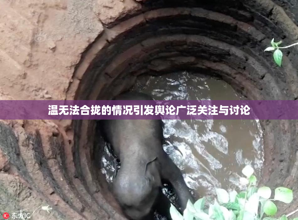温无法合拢的情况引发舆论广泛关注与讨论