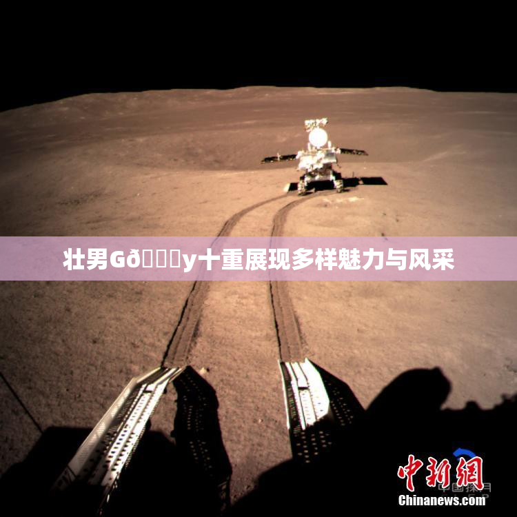 壮男G🈚y十重展现多样魅力与风采