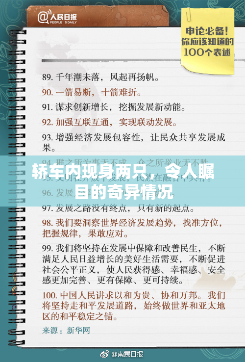 轿车内现身两只，令人瞩目的奇异情况