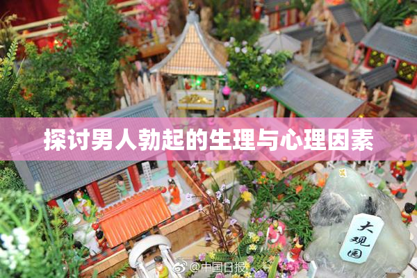 探讨男人勃起的生理与心理因素