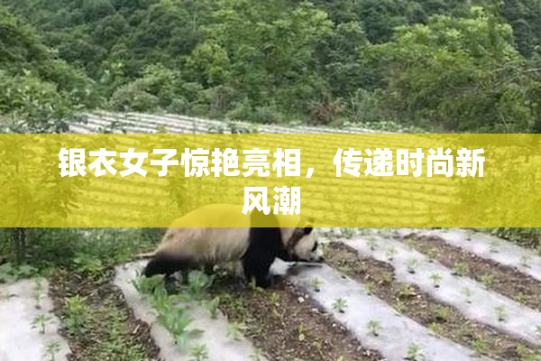 银衣女子惊艳亮相，传递时尚新风潮
