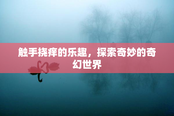 触手挠痒的乐趣，探索奇妙的奇幻世界