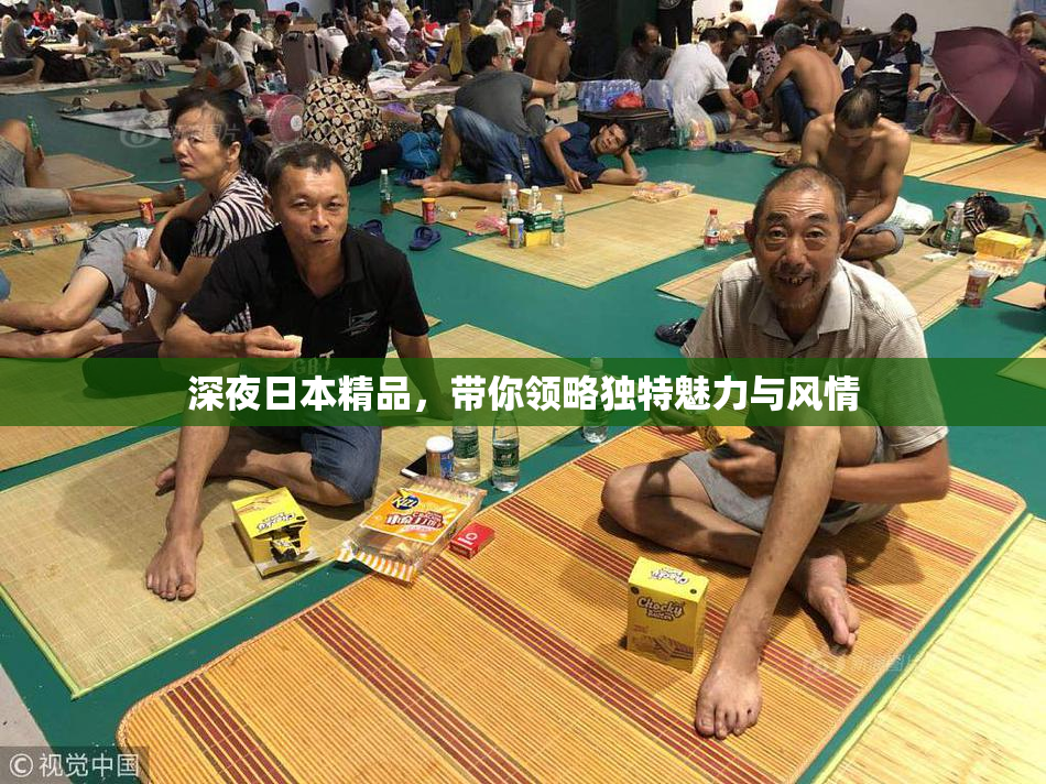 深夜日本精品，带你领略独特魅力与风情