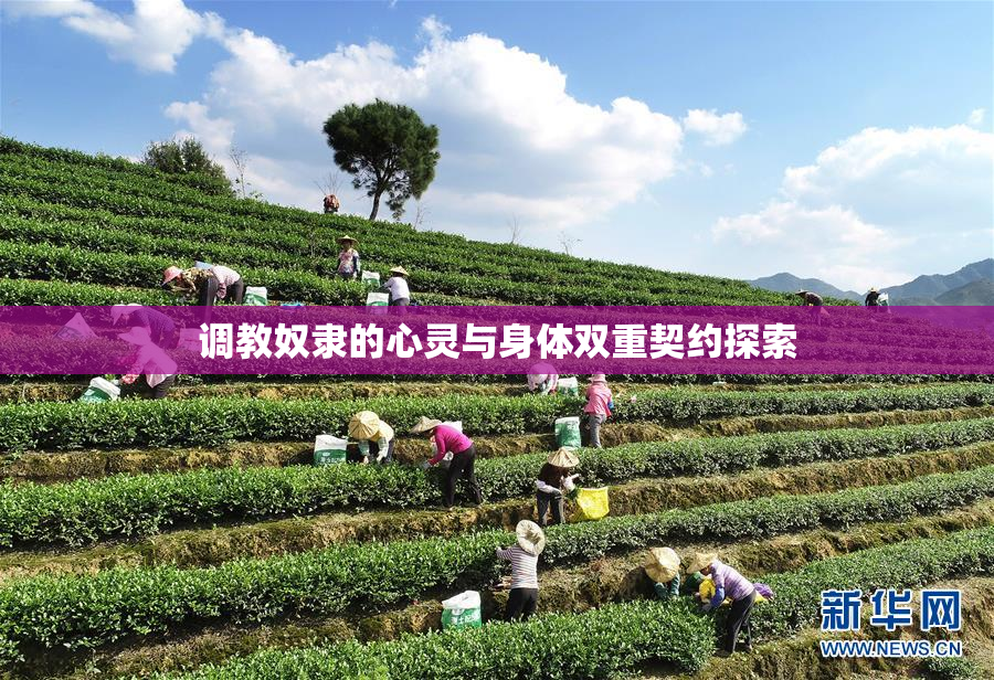 调教奴隶的心灵与身体双重契约探索