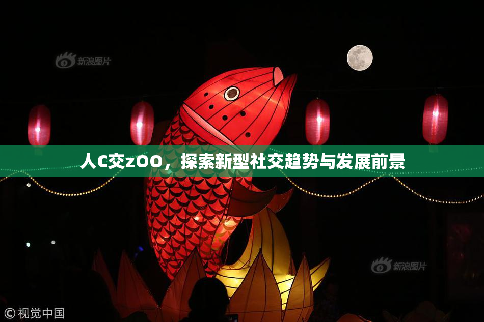 人C交zOO，探索新型社交趋势与发展前景
