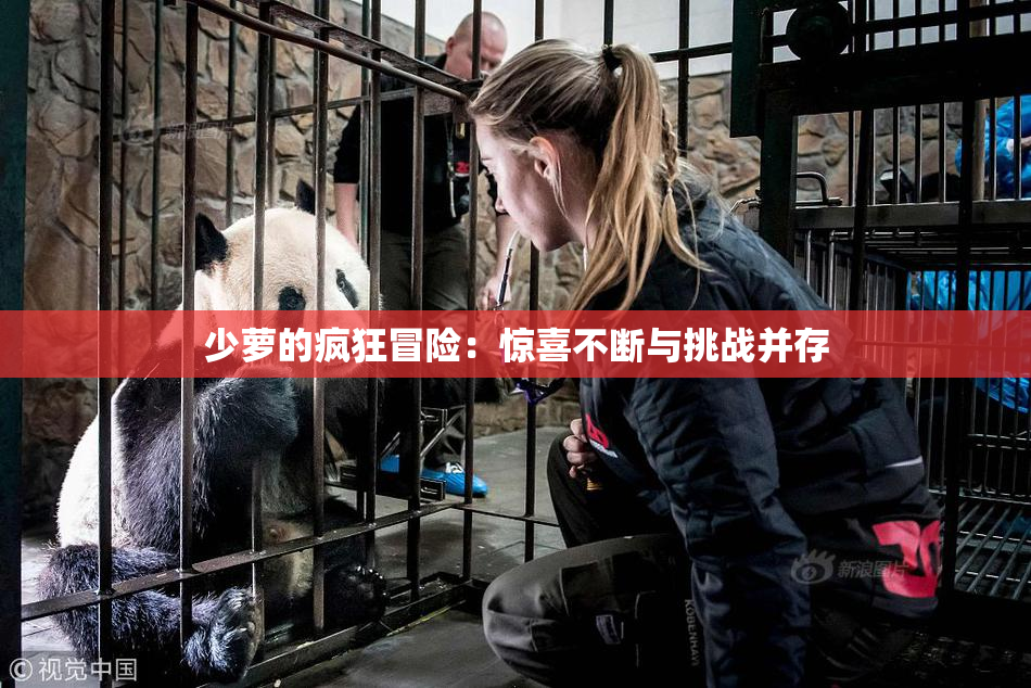 少萝的疯狂冒险：惊喜不断与挑战并存