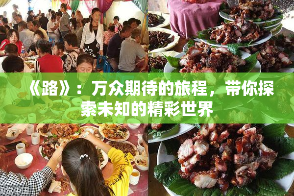 《路》：万众期待的旅程，带你探索未知的精彩世界