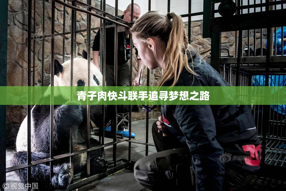 青子肉快斗联手追寻梦想之路