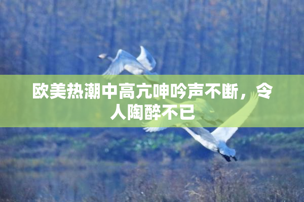 欧美热潮中高亢呻吟声不断，令人陶醉不已